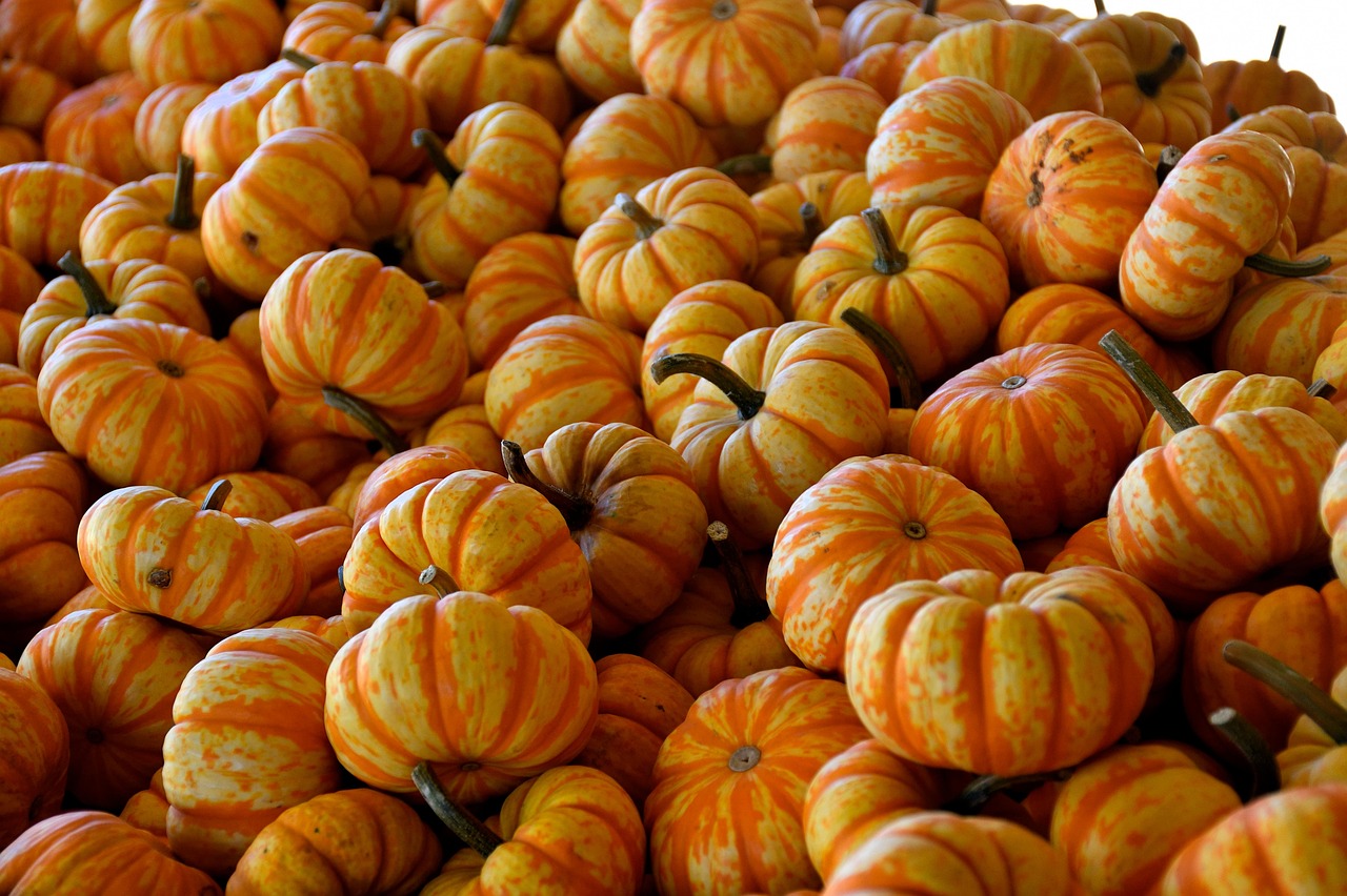 pumpkins-8338100_1280